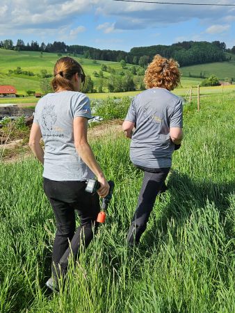 Ein letzter Kontrollgang bevor die Pferde kommen