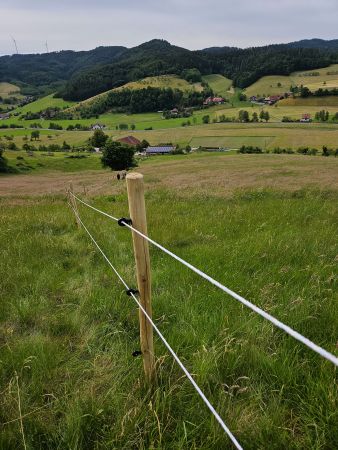 Koppel - ein Paradies für unsere Pferde