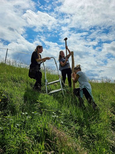 Vor dem Vergnügen kommt die Arbeit